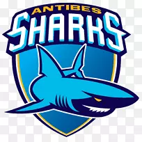 ����Ħ�ȿ˰��ᱴ˹LNB Pro a����JDA Dijon��������-������