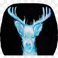 鼻子-惠顾-空若网 鼻子-惠顾-空若网