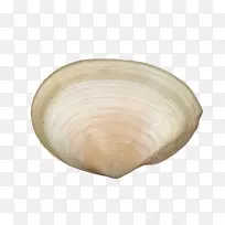 ���ڻ��;�-������