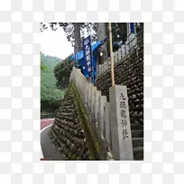 树胎树-空若网 树胎树-空若网