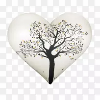 ���������ո������ǣ�ʫ��ɢ����������095��ɺ�ʫ-��-������