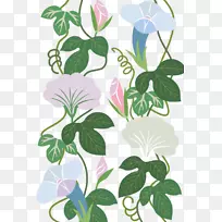 花喇叭花藤遮阳材料晦涩-空若网 花喇叭花藤遮阳材料晦涩-空若网