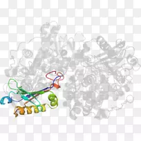 树木剪贴画-树-空若网 树木剪贴画-树-空若网