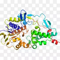 人体首饰有机体线剪贴画线-空若网 人体首饰有机体线剪贴画线-空若网