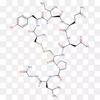 肽合成分子生物学化学合成氨基酸缩宫素-空若网 肽合成分子生物学化学合成氨基酸缩宫素-空若网