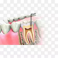 �������Ƹ�������ѧ����ѧ����-������