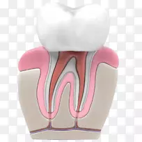 ������������ѧ����-������