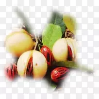 天然食品,超食水果,肉豆蔻-水果秒-空若网 天然食品,超食水果,肉豆蔻-水果秒-空若网