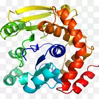 �����鱦���л����������-������