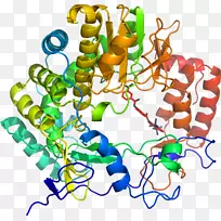 人体首饰有机体线剪贴画线-空若网 人体首饰有机体线剪贴画线-空若网