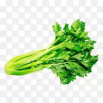 欧芹,香菜,芹菜,蔬菜,草本植物-空若网 欧芹,香菜,芹菜,蔬菜,草本植物-空若网