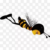 �۷������������������-������