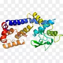 人体首饰有机体线剪贴画线-空若网 人体首饰有机体线剪贴画线-空若网