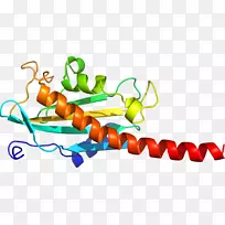 艺术身体珠宝有机体线剪贴画线-空若网 艺术身体珠宝有机体线剪贴画线-空若网