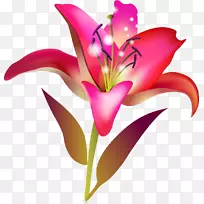 �ٺϻ��л���-��-������