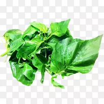 菠菜-蔬菜-空若网 菠菜-蔬菜-空若网
