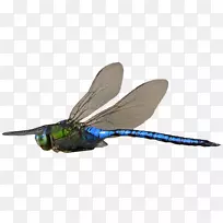 �������ѷ���-������