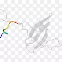 ��ɫ���-������