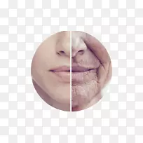 ˥���о�˥����ؼ�����ѧ�����ӳ���Ƥ-������