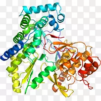 人体首饰有机体线剪贴画线-空若网 人体首饰有机体线剪贴画线-空若网