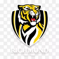 弗特路椭圆形里士满足球俱乐部墨尔本板球球场2017年AFL赛季布里斯班狮子-空若网 弗特路椭圆形里士满足球俱乐部墨尔本板球球场2017年AFL赛季布里斯班狮子-空若网