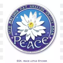 ���ո���ֽ��֯Ʒ���������-ʥ����˿��������-������