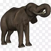 ӡ�ȴ���������ռǲ���-Dieren-������