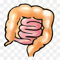 鼻子人类行为脸颊有机体夹鼻-空若网 鼻子人类行为脸颊有机体夹鼻-空若网