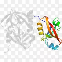 平面设计剪贴画.设计-空若网 平面设计剪贴画.设计-空若网