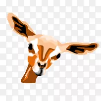 犬科狗袋鼠鼻子夹艺术狗-空若网 犬科狗袋鼠鼻子夹艺术狗-空若网