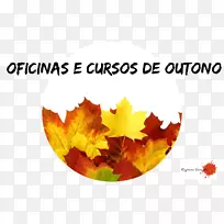 ��β�Ʋ���Lemes o Paulo Instagram Melissa-Outono-������