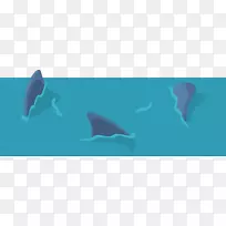 普通宽吻海豚海洋生物水鲨鱼水域-空若网 普通宽吻海豚海洋生物水鲨鱼水域-空若网