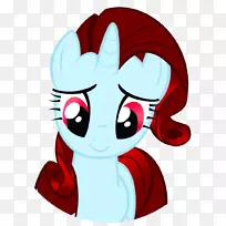 马匹摄影马术-空若网 马匹摄影马术-空若网