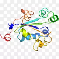 �ߵ�����Ʒ�л����������-������