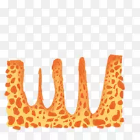 ������������ݸ���ѧ�Ļ�����ɫS.A.����˹��-�𼪶�-������