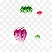 卡通仙人掌.手绘卡通仙人掌-空若网 卡通仙人掌.手绘卡通仙人掌-空若网