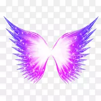 蝴蝶翼-创意翅膀-空若网 蝴蝶翼-创意翅膀-空若网