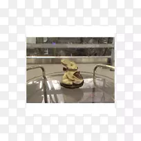 ½ðÊôÒÎ-ÌúÑõÌåת×Ó-¿ÕÈôÍø ½ðÊôÒÎ-ÌúÑõÌåת×Ó-¿ÕÈôÍø