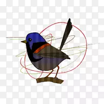 喙羽夹艺术.羽毛-空若网 喙羽夹艺术.羽毛-空若网