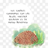 生物字体-珊瑚-空若网 生物字体-珊瑚-空若网