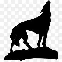 灰狼土狼奥利多剪贴画-狼-空若网 灰狼土狼奥利多剪贴画-狼-空若网