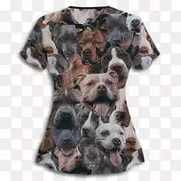 Ȯ�ִ�Ȯt����ţ���ѹ�ţ-������