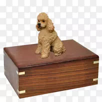 澳洲牧羊犬狗-空若网 澳洲牧羊犬狗-空若网