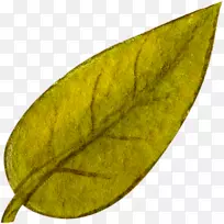 树叶创作水彩画纸水彩画秋叶-空若网 树叶创作水彩画纸水彩画秋叶-空若网