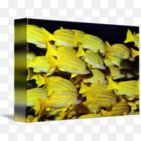 À¥³æ´«·ÛÕß-»ÆÔÆ-¿ÕÈôÍø À¥³æ´«·ÛÕß-»ÆÔÆ-¿ÕÈôÍø