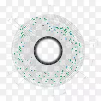 ��Ϣͼ�����ݿ��ӻ���Ϣͼ.������-������