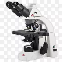 光学显微镜数字显微镜相衬显微镜光-空若网 光学显微镜数字显微镜相衬显微镜光-空若网