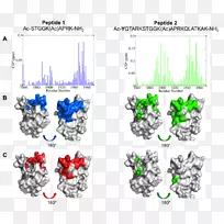 树线点体珠宝.树-空若网 树线点体珠宝.树-空若网