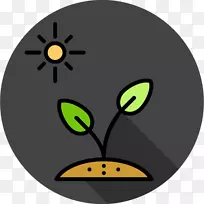 胡须猫鼻子夹艺术猫-空若网 胡须猫鼻子夹艺术猫-空若网