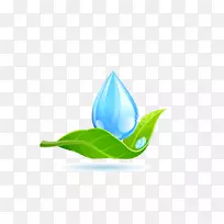 Ҷˮ��־��-ˮ����Ҷ-������